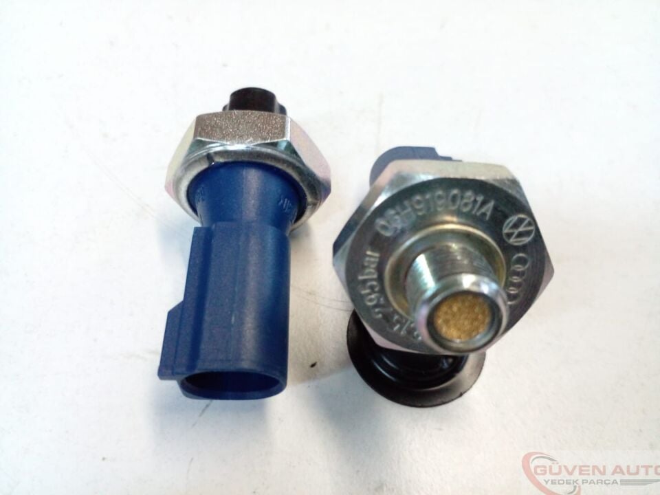 Yağ Müşürü      -04E919081A